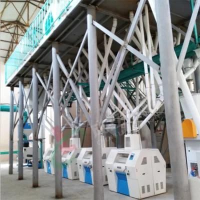 Advanced Technology Wheat Corn Maize Meal Flour Production Grinding Milling Plant