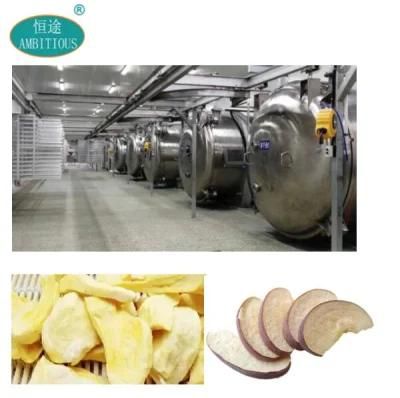 Vacuum Lyophilizer Vacuum Freeze Drying Machine