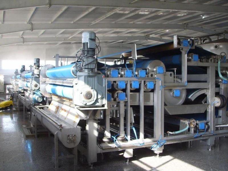 Industrial Belt Press for Fruit and Vegetable Processing
