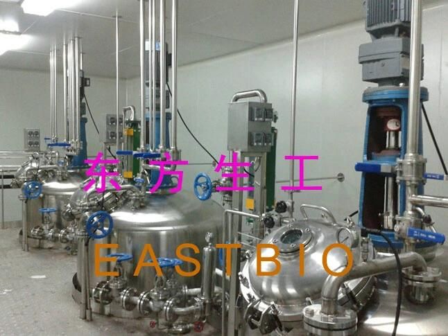 Production-Scale Stainless Steel Plant Fermentor