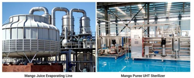 220L Aseptic Package Chili Sauce Mango / Pineapple Paste Jam Making Processing Line