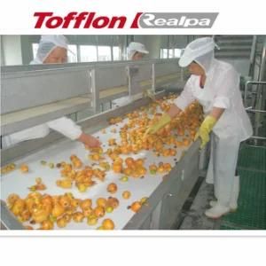 Mango Paste Production Line