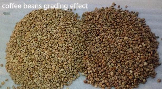 Soybean Selector Food Processing CCD Optical Color Sorter