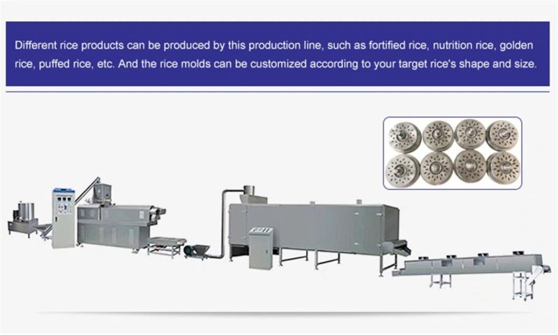 Twin Screw Extruder Artificial Fortified Rice Extruder Making Machine Processing Line