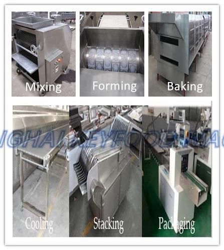 Stainless Steel Automatic Hard Biscuit Making Machine Soft Biscuit Production Line