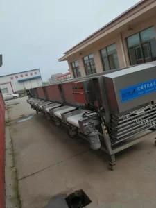Top Sales Factory Outlet Tomato Grading Machine