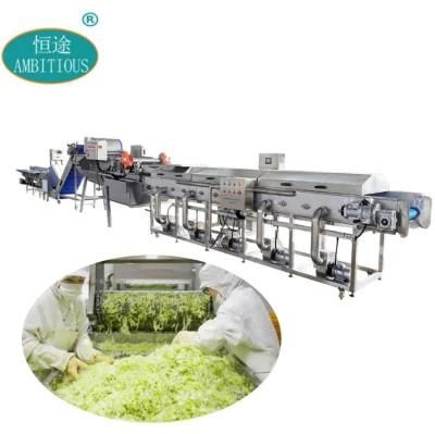Salad Vegetable Cutting Slicer Drying Cleaning Bubble Washer Vortex Washing Processing ...