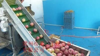 Automatic Heat Pump Industry Seafood Fruit Drying Machine Vegetable Dehydrator Mesh Belt ...