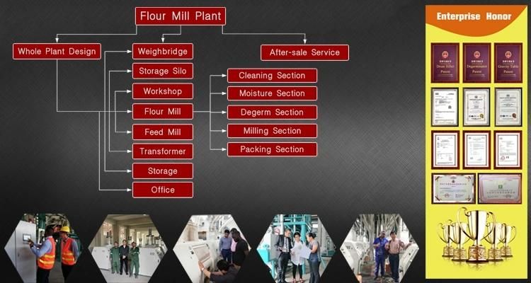 Hongdefa Maize Milling Plant Corn Flour Mill Machine in Zimbabwe