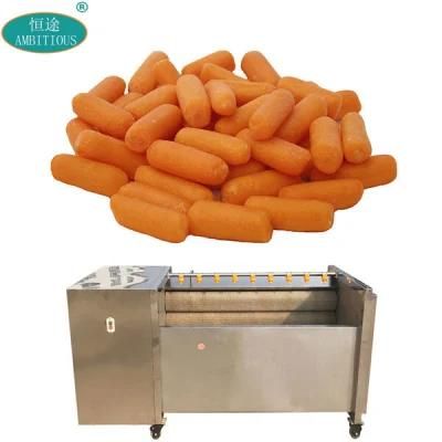 Fruit and Vegetable Brush Washer Machines Carrot Washing Machine