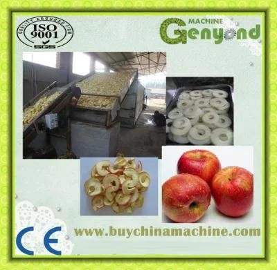 High Capacity Apple Slicing Machine