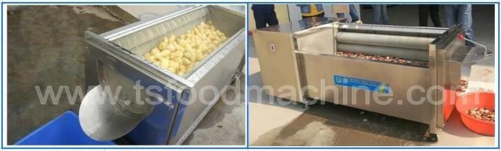 Brush Washing and Peeling Machine Special for Fruit and Vegetables Washer with Ce