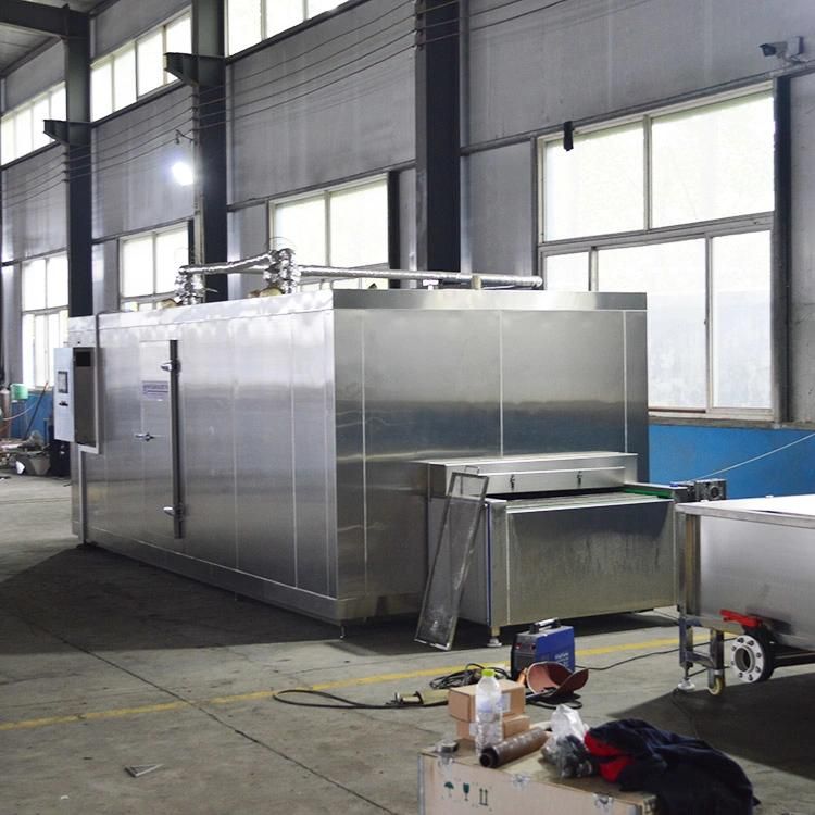 Individual Quick Freezing Machine IQF/Meat Quick Freezing Machine