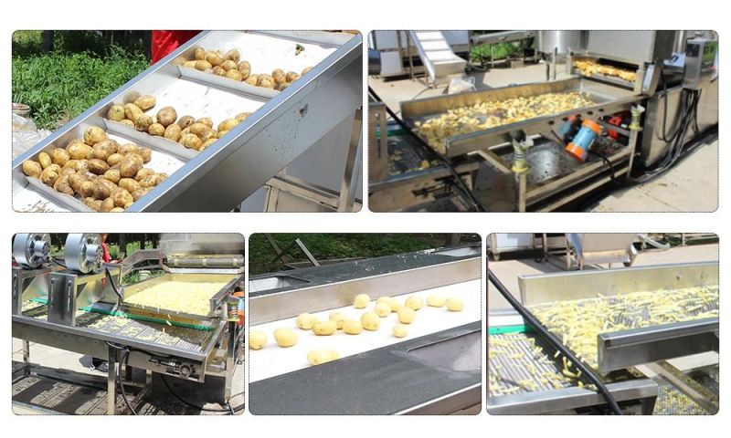 Frozen Fried Potato Machine Freezer French Fries Machine Frozen Fried Potato Making Machine