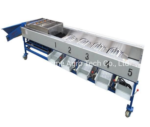 Orange Vegetable Sorter Palm Dates Cherry Garlic Grader Mango Fruit Sorting Onion Grading Machine