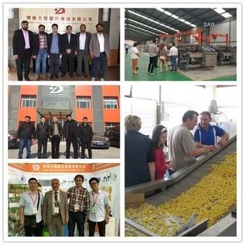 Textured Soya Soybean Protein Extruder Dryer Roasting Processing Machines