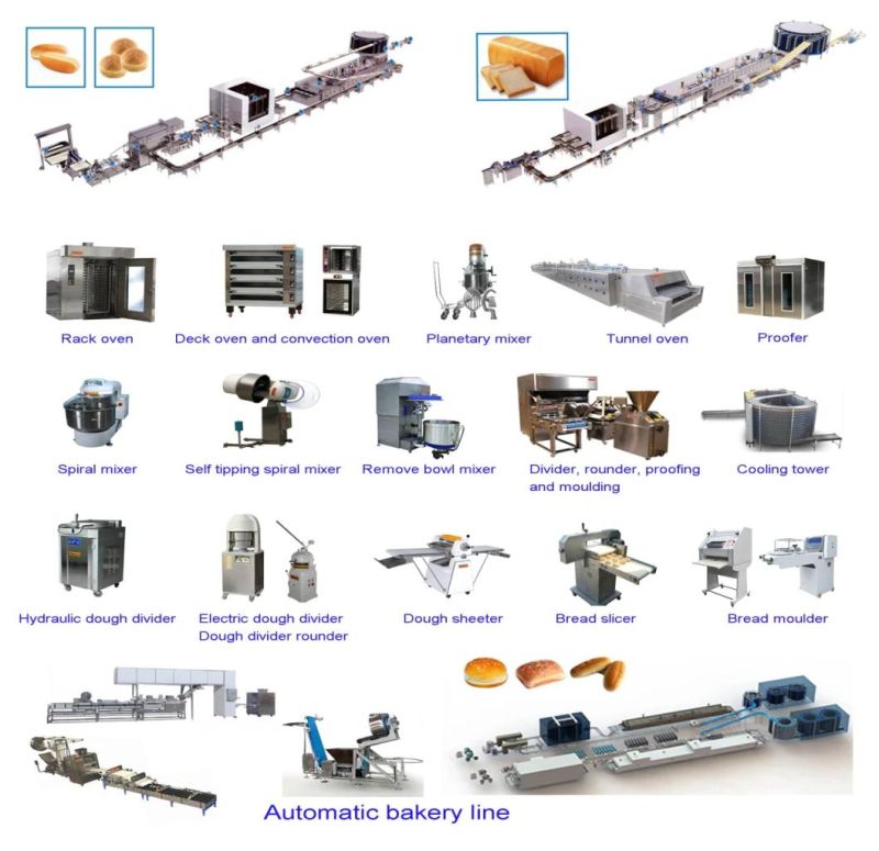 Fully Automatic Burger Hot Dog Bagel Dogs Bread Multifunctional Production Line