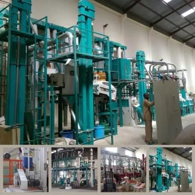 30t Per Day Maize Flour Machines for Kenya