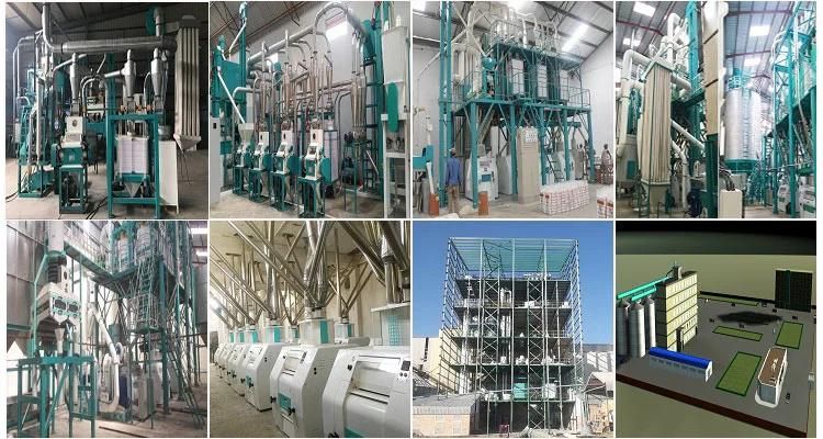 Mozambique 100t Per Day Maize Flour Milling Meal Plant