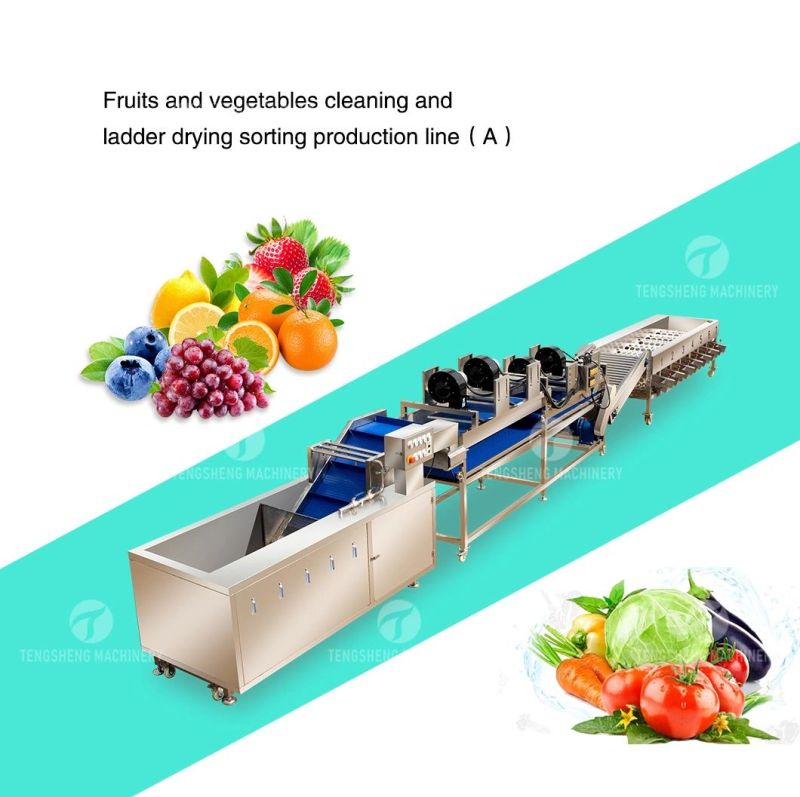 Citrus Apple Orange Passion Fruit Cleaning Air Drying Sorting Production Line Food Processing Equipment Machine