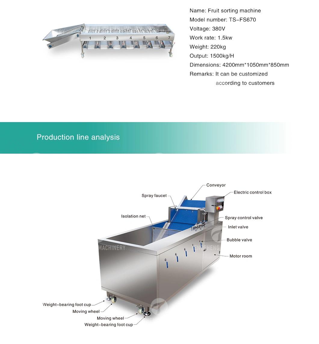 Citrus Apple Orange Passion Fruit Cleaning Air Drying Sorting Production Line Food Processing Equipment Machine