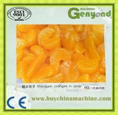 Shanghai Complete Canned Orange Processing Line