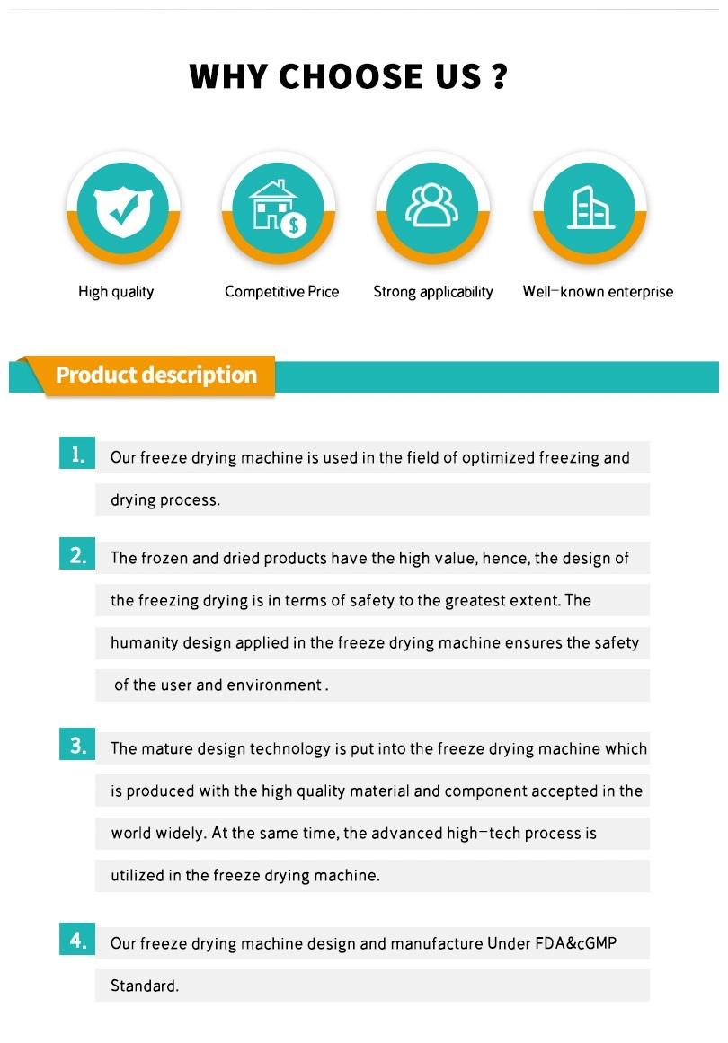 Automatic CE Certificate Freeze Dryer Vacuum Freeze Drying Equipment