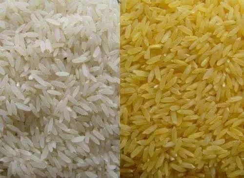 China Artificial Nutrition Fortified Rice Processing Making Machine