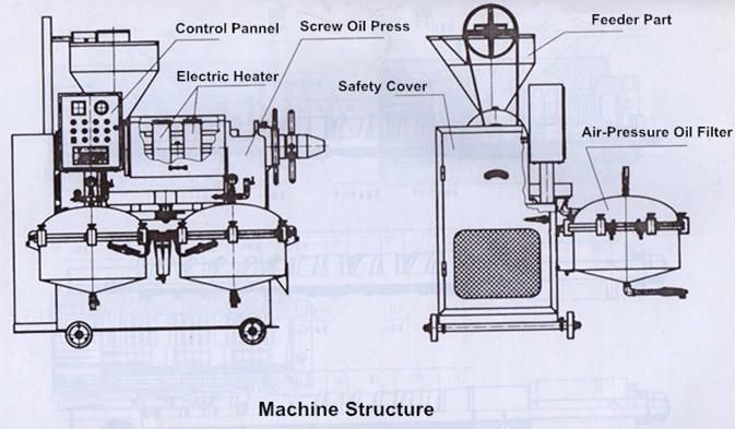 Cotton Seeds Oil Expeller