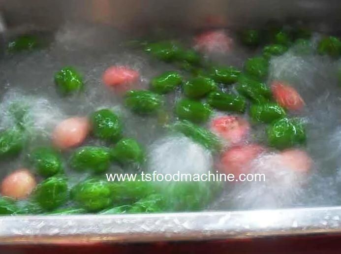 Automatic Commercial Ozone Fruit and Vegetable Washer