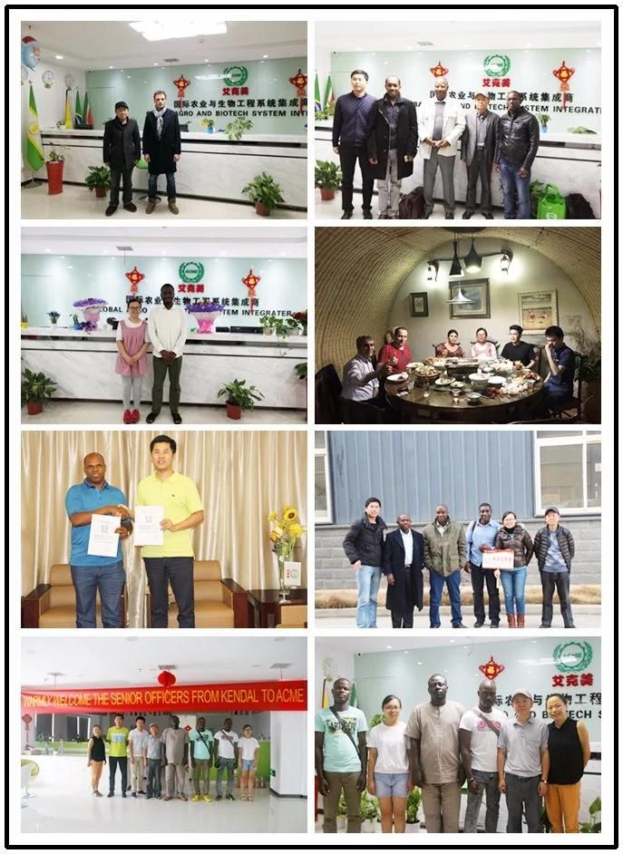 Chinese Factory Supplier Breadfruit Shelling Machine