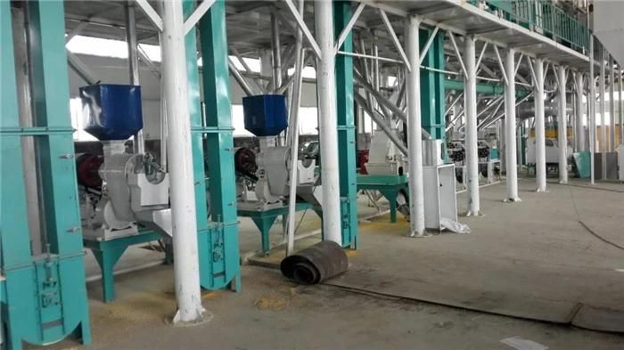 50 T/D Maize Corn Flour Milling Machine Plant for Africa Market