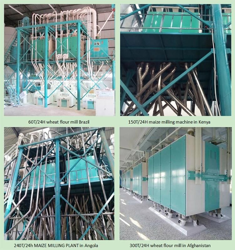 Ethiopia European Standard Automatic Grinding 120t/24h Wheat Flour Mill Milling Machine Price