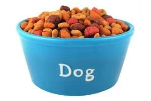 New Large Capacity Twin Screw Pet Food Machine From China
