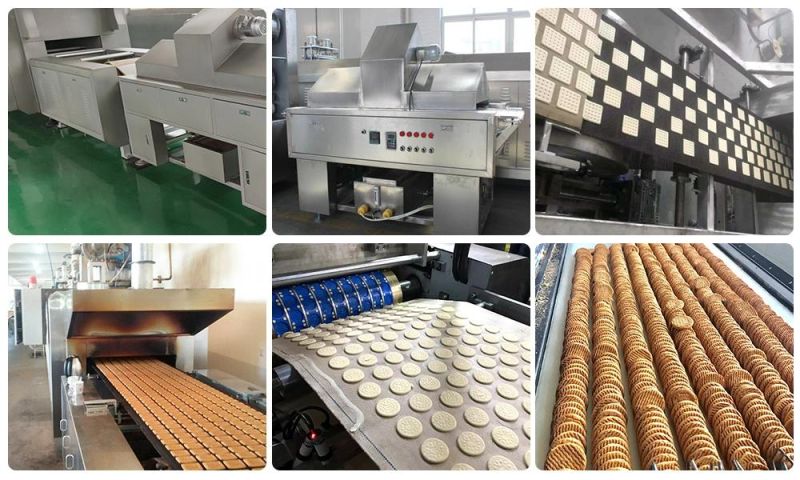 Industrial Biscuit Machine Biscuit Production Line Soft and Hard Biscuit Making Equipment with High Quality