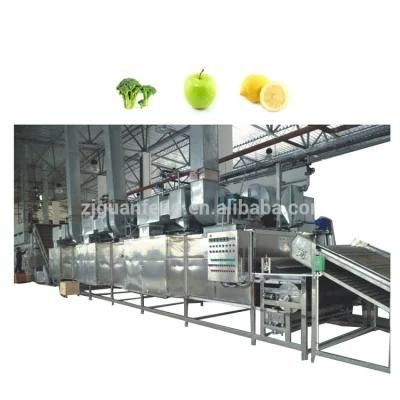 Wheat Grass Drying Line Healthy Food Processing Line Belt Dryer