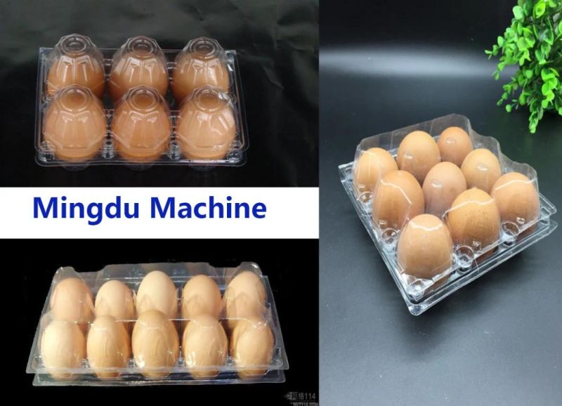 Plastic Egg Container Foring Machine (model-500)