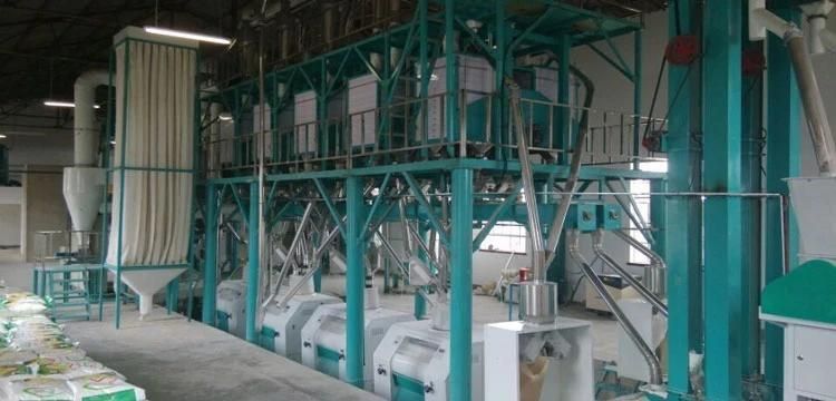 2021 Automatic 36tpd Wheat Processing Machine