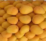 Complete Mango Jam Processing Machine