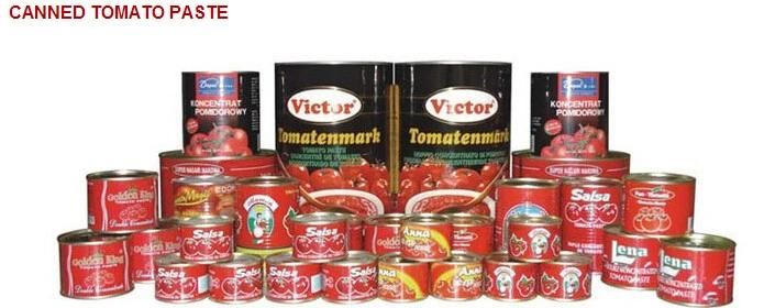 Affordable High-Speed Canned Tomato Paste Filling Machines