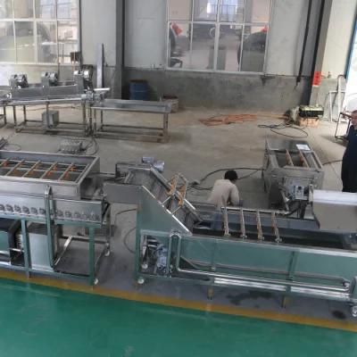 High Quality Apple Orange Washing Cutting Drying Line for Food Processing
