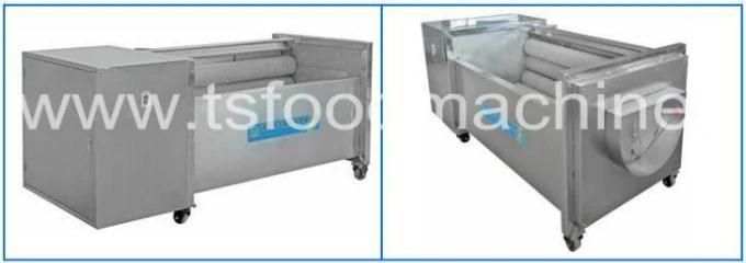 Carrot Processing Equipment Carrot Washing Cutting Machine