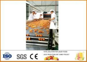Automatic Concentrate Fruit Processing Apricot Jam Production Line Vegetable Jam ...