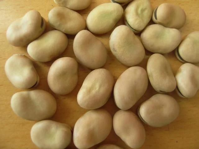 Beans Garbanzo Lentil Pea Splitting Peeling Machine Flour Line Equipment Soybean Lima Fava Toe Cat Pakistan