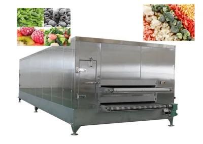 Energy Saving Vegetable Fruit Frozen Machine