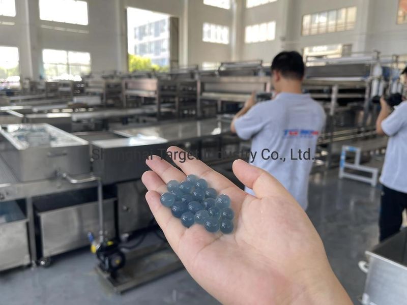 Tg Hot-Sale Products in Europe Mini Tapioca Pearl Making Machine Popping Balls Boba Factory and Bubble Tea Boba Pearls Machine