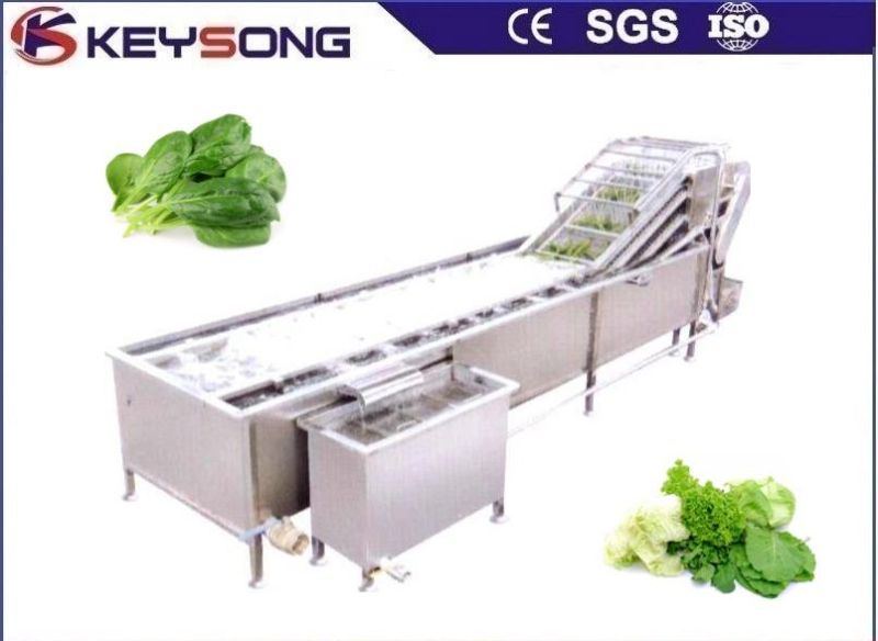 High Efficency Cabbage Vegetables Cleaning Washing Processing Machine