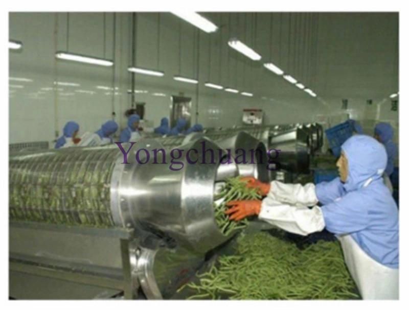 Factory Directly Sale Green Bean Cutting Machine with High Capacity