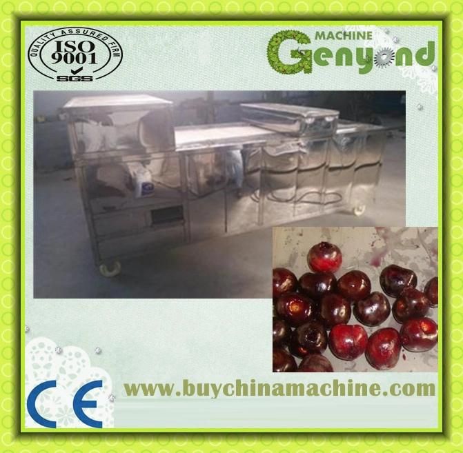 High Efficient Cherry Destemmed Removed Machine