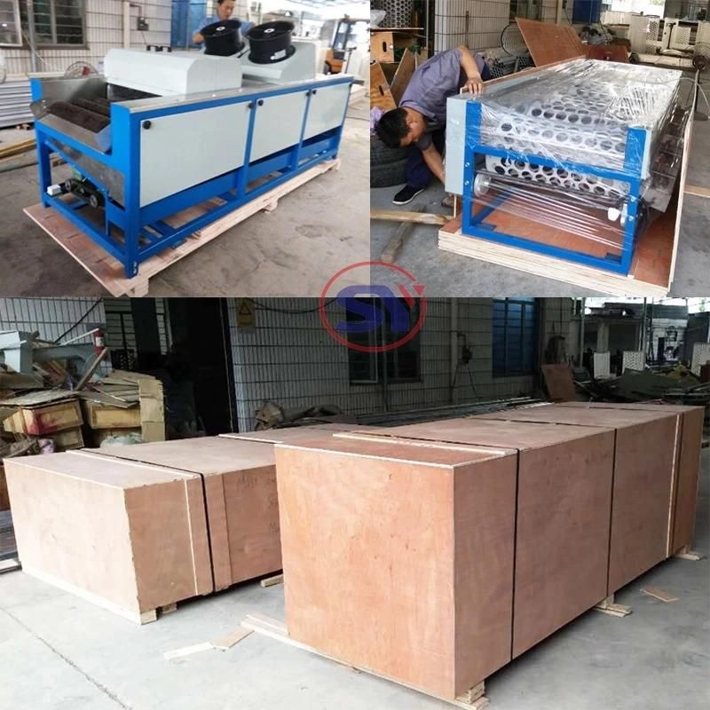 Vegetable Sorting Processing Machine Garlic Peanut Washing Grading Selecting Machine